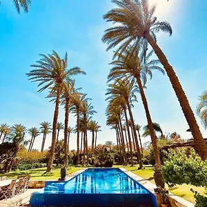 Abu Sir Pyramids And Palm View *