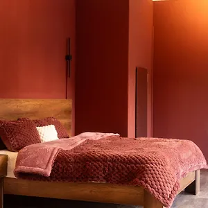 A Spacious 1 Bedroom In Garden *