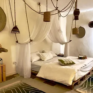 Afro In Maadi In Sharing Apartment Cairo
