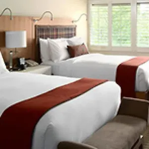 Tulip Hotel 3*
