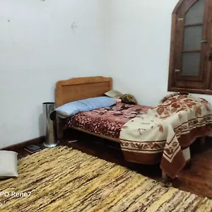 سقاره *