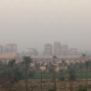 شقه تطل على فيو أخضر قريب من كافه المزارات السياحيه Apartment