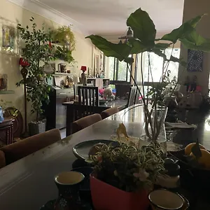 House With Garden View - Female Only * Cairo