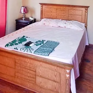 La Bella Casa ホステル カイロ